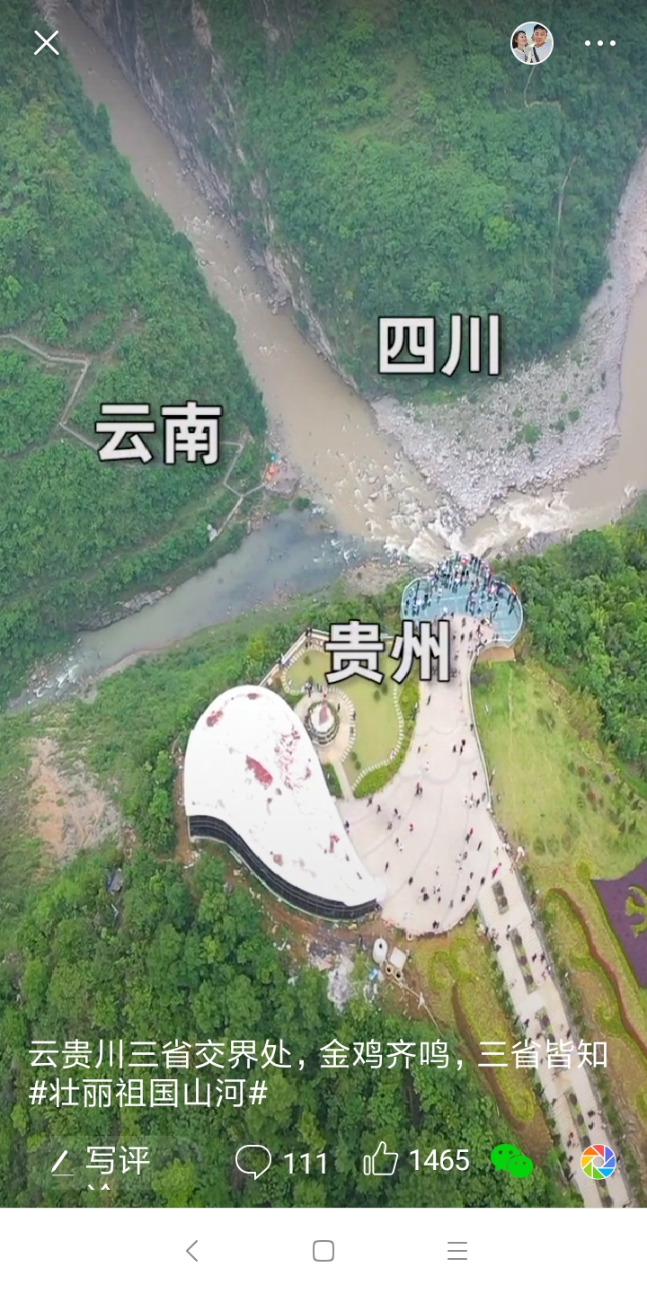 Screenshot_2019-10-12-11-17-27-431_com.ss.android.article.lite
