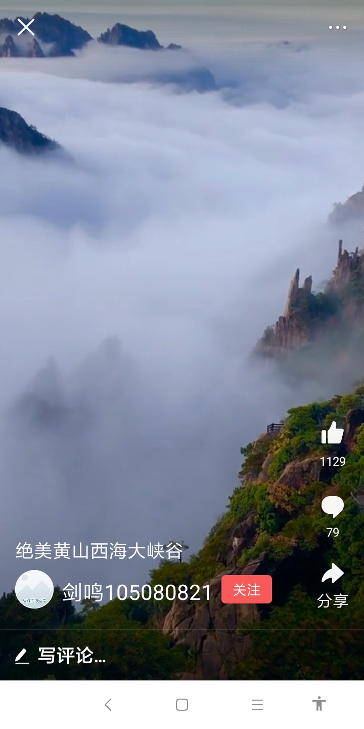 Screenshot_2019-11-29-13-38-35-488_com.ss.android.article.lite