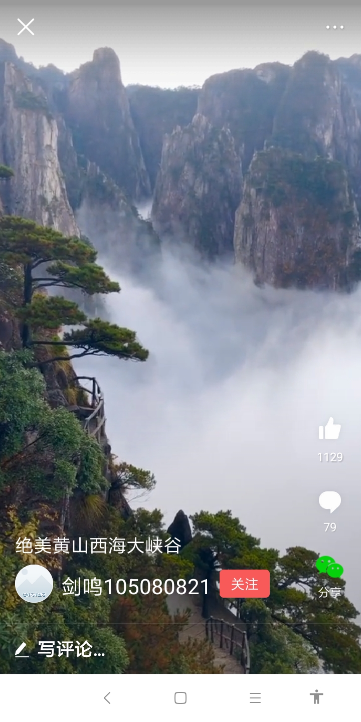 Screenshot_2019-11-29-13-38-54-379_com.ss.android.article.lite